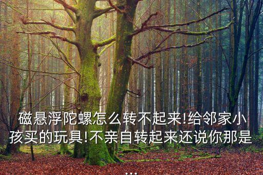  磁懸浮陀螺怎么轉不起來!給鄰家小孩買的玩具!不親自轉起來還說你那是...