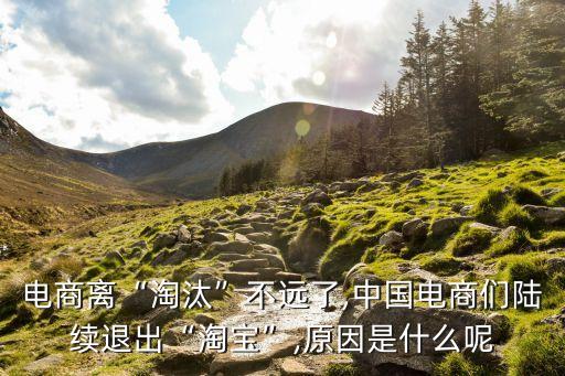 淘寶6月數(shù)據(jù),淘寶6月6日活動介紹:
