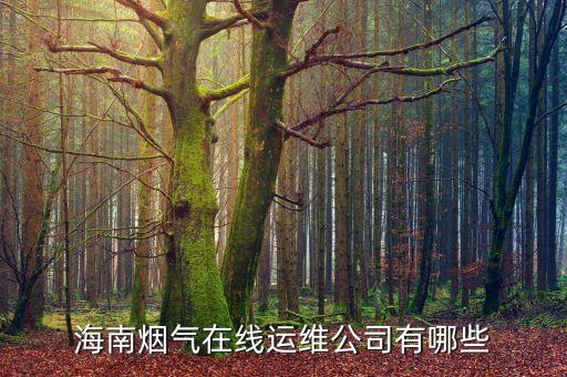 環(huán)保自動(dòng)化在線設(shè)備運(yùn)維,自動(dòng)化設(shè)備運(yùn)維日報(bào)怎么寫?