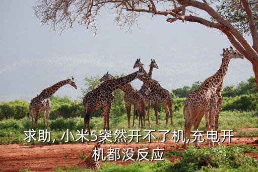 小米5開(kāi)數(shù)據(jù)沒(méi)反應(yīng)怎么辦,小米11屏幕沒(méi)反應(yīng)怎么辦