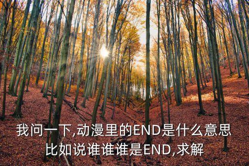 我問一下,動漫里的END是什么意思比如說誰誰誰是END,求解