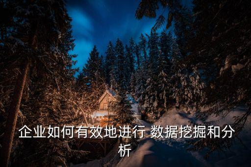  企業(yè)如何有效地進行 數(shù)據(jù)挖掘和分析