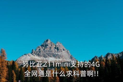  努比亞Z11mini支持的4G 全網(wǎng)通是什么求科普啊!!