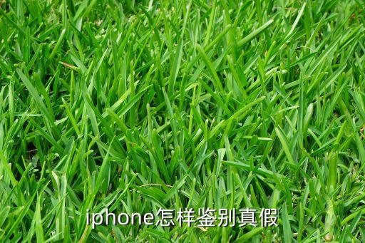 iphone怎樣鑒別真假