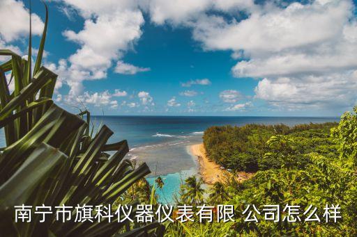 南寧市旗科儀器儀表有限 公司怎么樣