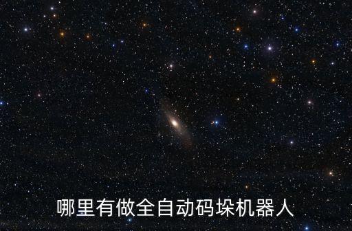 哪里有做全自動碼垛機(jī)器人