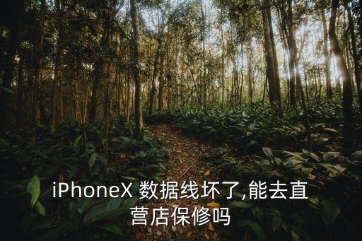 iPhoneX 數(shù)據(jù)線壞了,能去直營店保修嗎