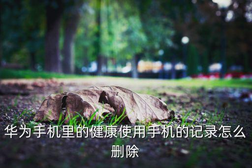 健康 數(shù)據(jù) 刪除,蘋果手機(jī)健康數(shù)據(jù)越刪越多如何刪除?