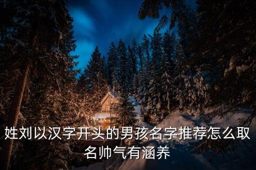 姓劉以漢字開(kāi)頭的男孩名字推薦怎么取名帥氣有涵養(yǎng)