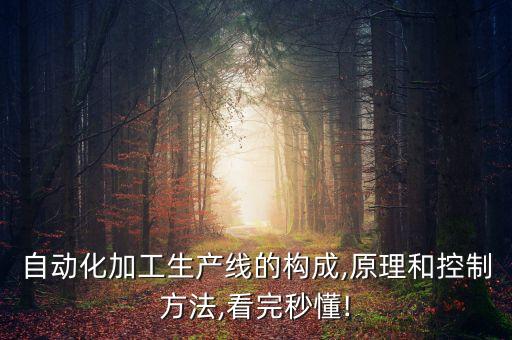 柜體加工自動(dòng)化設(shè)備,一文看懂!自動(dòng)化生產(chǎn)線有哪些?