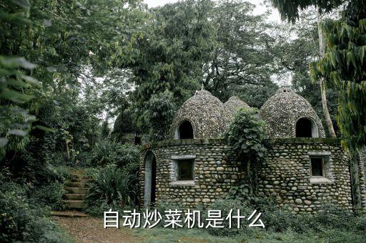 韓國廚房自動化設(shè)備有哪些,廚房設(shè)備品牌有哪些?