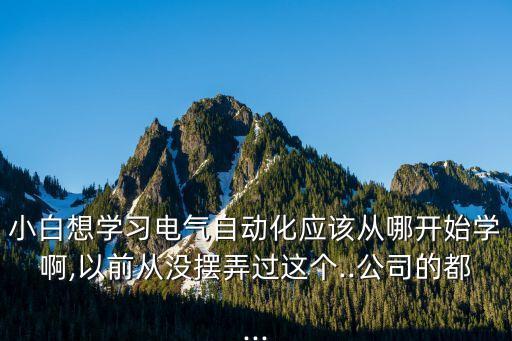 小白想學(xué)習(xí)電氣自動化應(yīng)該從哪開始學(xué)啊,以前從沒擺弄過這個..公司的都...