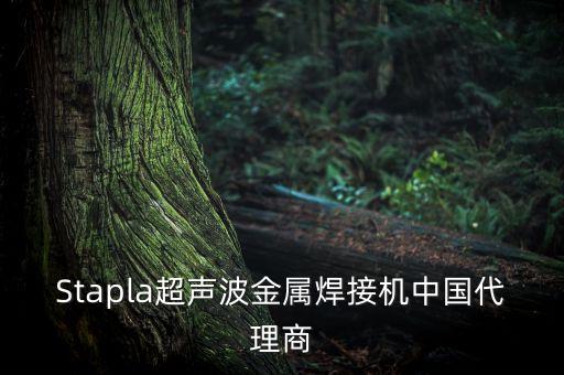 極耳超聲波焊接自動化設(shè)備,什么是超聲波焊接?