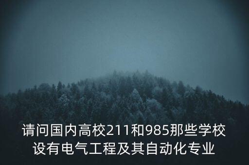 請問國內高校211和985那些學校設有電氣工程及其自動化專業(yè)