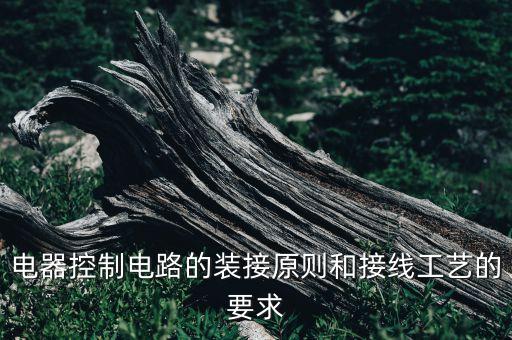 電器控制電路的裝接原則和接線工藝的要求