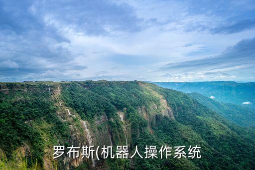 飛機(jī)機(jī)器人模擬器,怎么換巨型飛機(jī)模式?