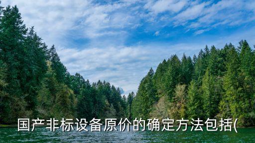 國產(chǎn)非標(biāo)設(shè)備原價(jià)的確定方法包括(