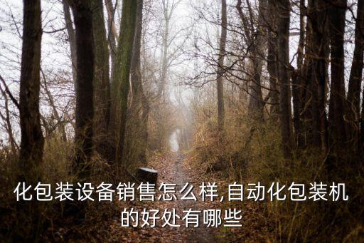 自動(dòng)化包裝設(shè)備銷售怎么樣,自動(dòng)化包裝機(jī)的好處有哪些?