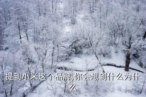 提到小米這個品牌,你會想到什么為什么