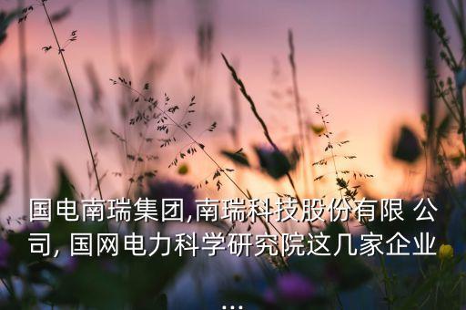 國(guó)電南瑞集團(tuán),南瑞科技股份有限 公司, 國(guó)網(wǎng)電力科學(xué)研究院這幾家企業(yè)...