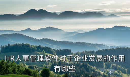 HR人事管理軟件對于企業(yè)發(fā)展的作用有哪些