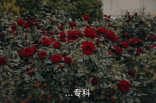 ...專科