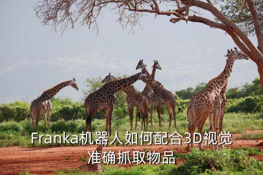 Franka機器人如何配合3D視覺準(zhǔn)確抓取物品