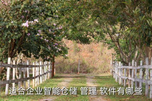適合企業(yè)智能倉(cāng)儲(chǔ) 管理 軟件有哪些