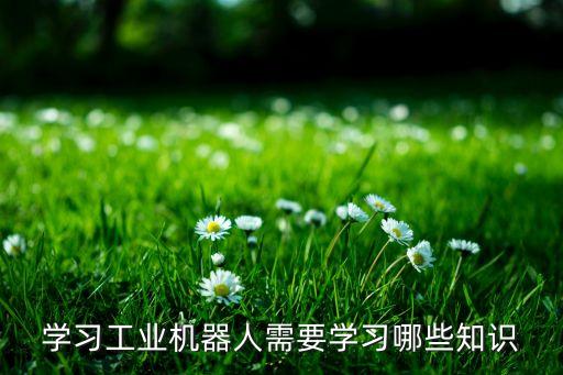 fapp機器人生產技術,工業(yè)機器人技術專業(yè)介紹及培訓課程