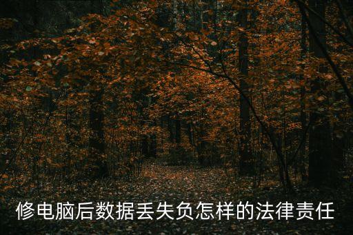 修電腦后數(shù)據(jù)丟失負(fù)怎樣的法律責(zé)任