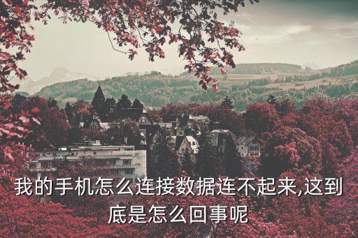 我的手機(jī)怎么連接數(shù)據(jù)連不起來(lái),這到底是怎么回事呢