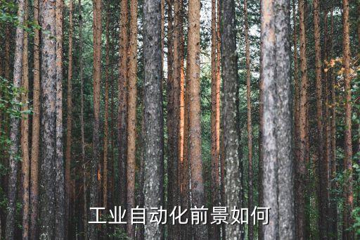 工業(yè)自動化前景如何