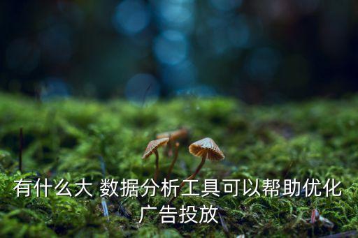有什么大 數(shù)據(jù)分析工具可以幫助優(yōu)化廣告投放