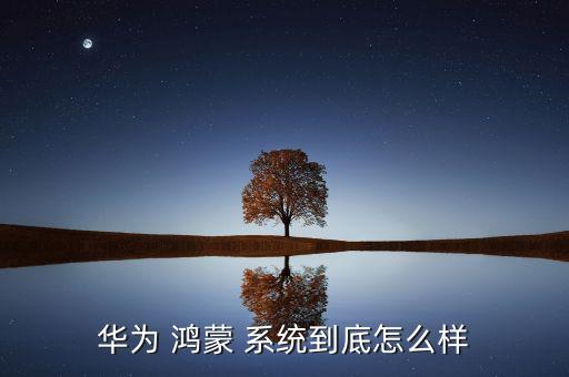 鴻蒙系統(tǒng)