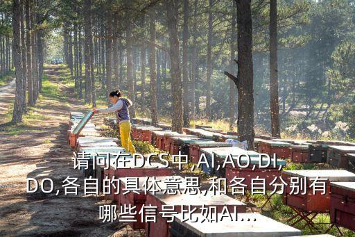 請問在DCS中,AI,AO,DI,DO,各自的具體意思,和各自分別有哪些信號比如AI...