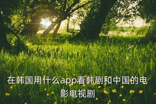 網(wǎng)飛app,韓國用什么app看韓劇和中國電視劇?