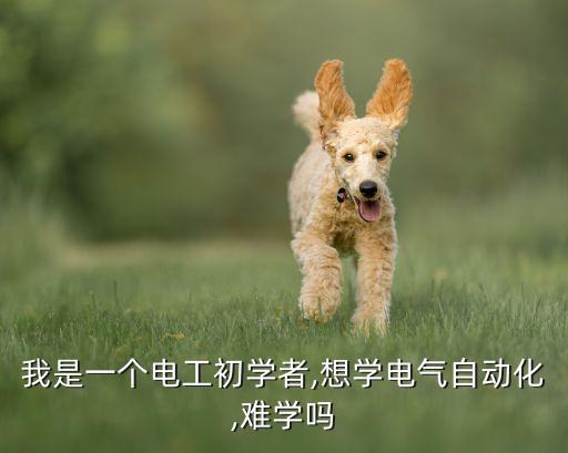 零基礎(chǔ)學(xué)習(xí)自動化專業(yè),自動化專業(yè)難學(xué)嗎?不難