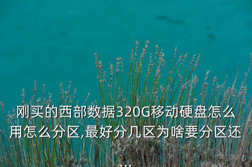 西部數(shù)據(jù)移動硬盤分區(qū)選擇主分區(qū),移動硬盤如何分區(qū)?