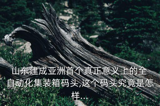 山東全剛自動(dòng)化設(shè)備,山東正夏自動(dòng)化設(shè)備有限公司