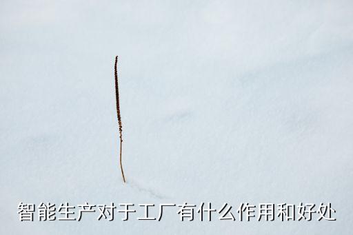 智能生產(chǎn)對于工廠有什么作用和好處