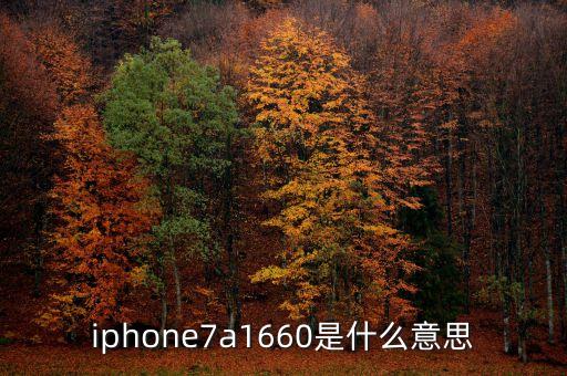iphone7a1660是什么意思