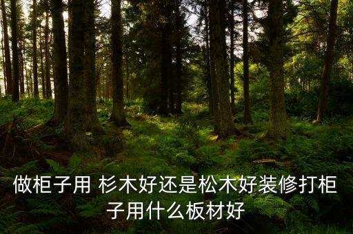 做柜子用 杉木好還是松木好裝修打柜子用什么板材好