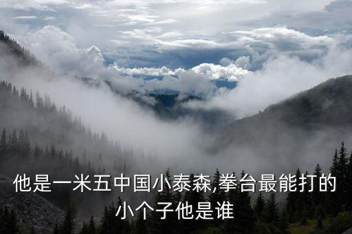 他是一米五中國(guó)小泰森,拳臺(tái)最能打的小個(gè)子他是誰(shuí)