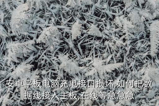安卓平板電腦充電接口損壞,如何把數(shù)據(jù)線接入主板,在線等急急急
