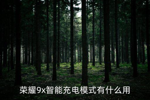 充電自動調(diào)節(jié),汽車電瓶充電器選自動調(diào)節(jié)還是手動修復(fù)好?