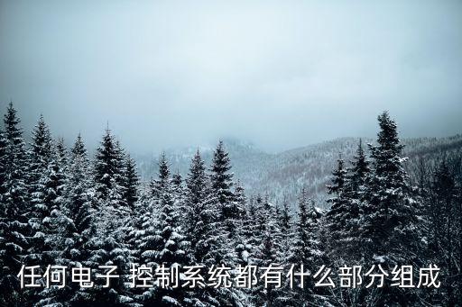 任何電子 控制系統(tǒng)都有什么部分組成