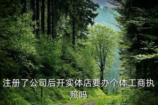 注冊了公司后開實體店要辦個體工商執(zhí)照嗎