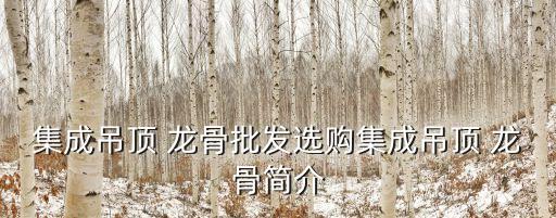 集成吊頂 龍骨批發(fā)選購(gòu)集成吊頂 龍骨簡(jiǎn)介