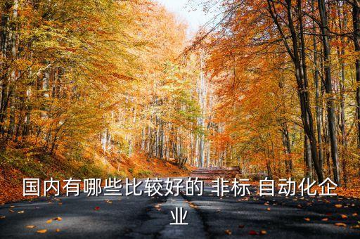 國(guó)內(nèi)有哪些比較好的 非標(biāo) 自動(dòng)化企業(yè)