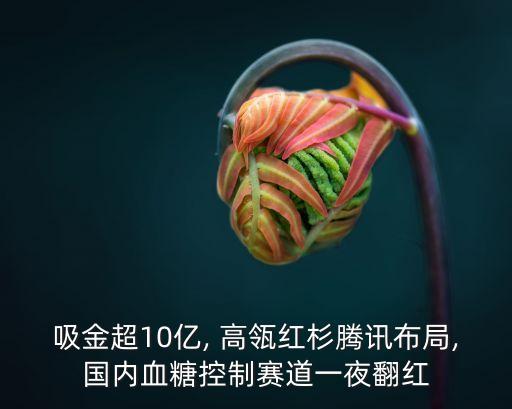 吸金超10億, 高瓴紅杉騰訊布局,國內(nèi)血糖控制賽道一夜翻紅